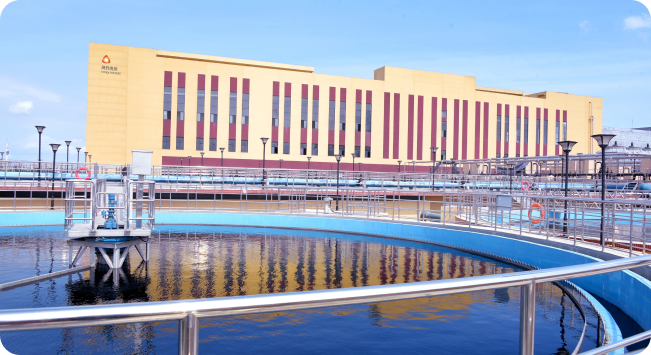 凤竹纺织科技股份有限公司