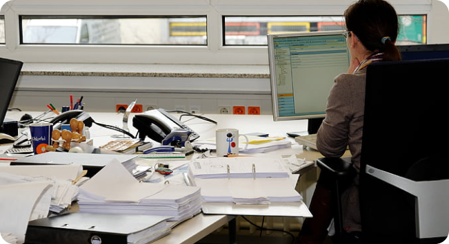 凤竹纺织项目背景