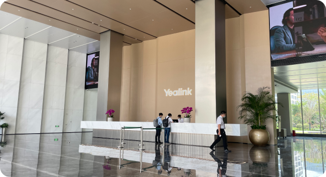 亿联网络项目背景